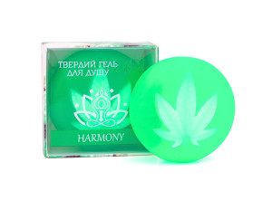 «HARMONY»