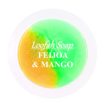 «FEIJOA & MANGO»